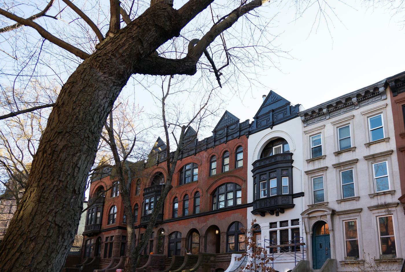 Row of Brooklyn brownstones